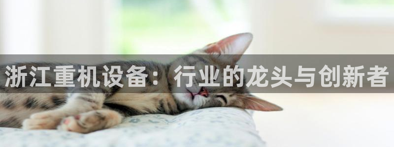 威九国际清砖码