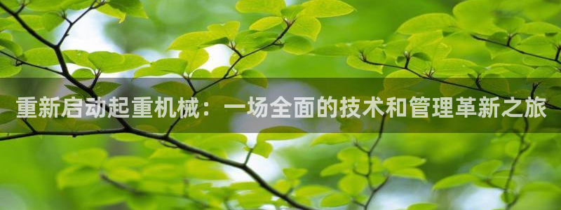 威九国际官方下载