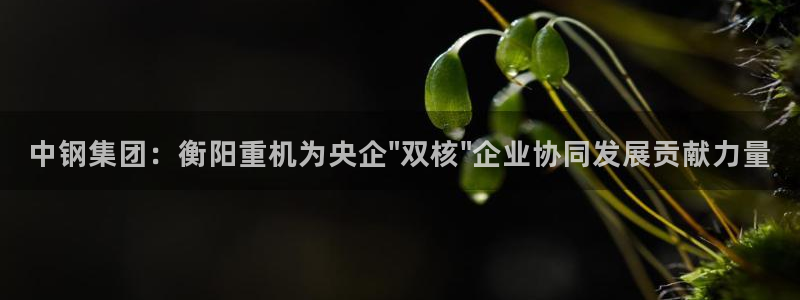威九国际66m66官网