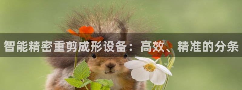 威九国际的演员