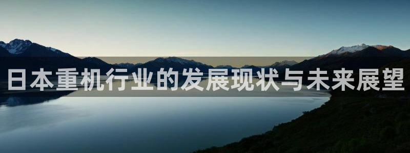 保定威九网络科技有限公司