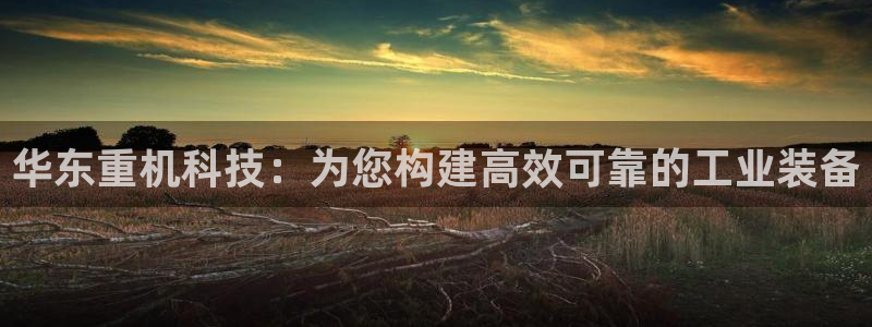 威九国际w98：华东重机科技：为您构建高效可靠的工业装备