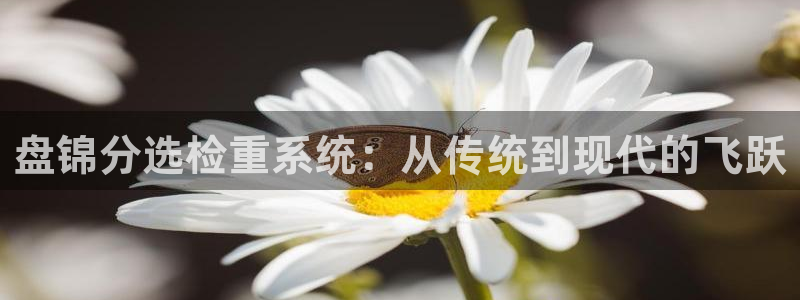 保定威九网络科技有限公司是干嘛的