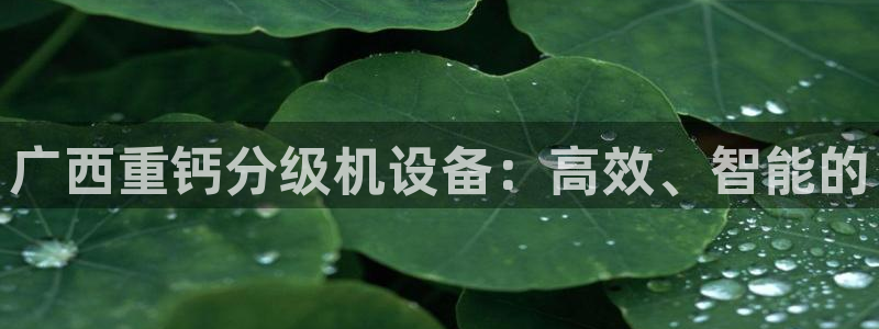 威九国际网站游戏