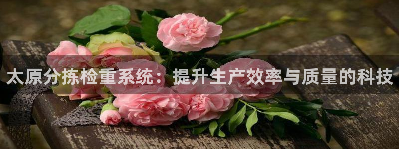 威九国际网站入口地址在哪里：太原分拣检重系统：提升生产效率与