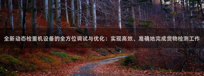 威九国际女儿的朋友：全新动态检重机设备的全方位调试与优化：实