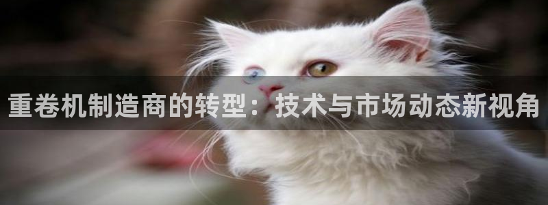 威九国际FF