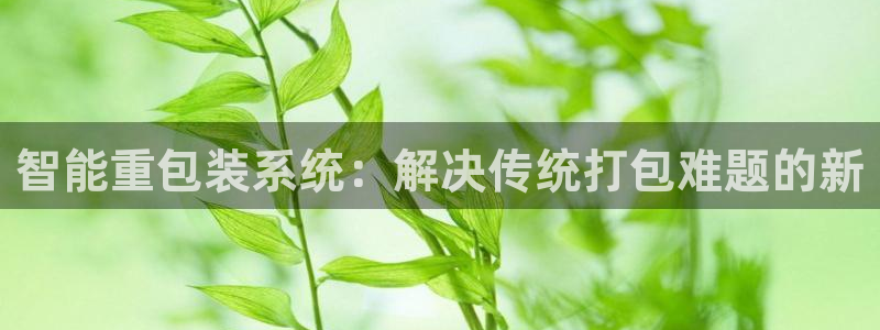 威九国际78mb下载：智能重包装系统：解决传统打包难题的新