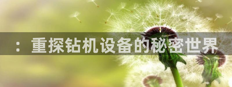 威九国际app客服电话多少