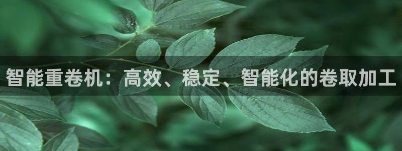 威九国际v8