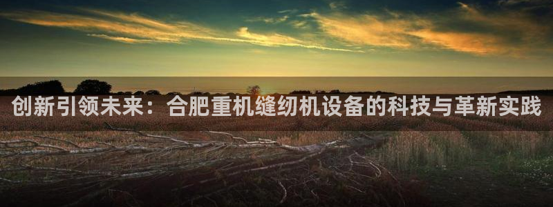 威九国际小说：创新引领未来：合肥重机缝纫机设备的科技与革新实