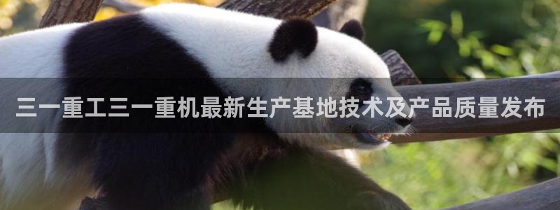 威九国际女演员好漂亮：三一重工三一重机最新生产基地技术及产品