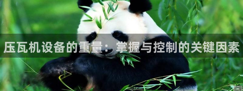 威九国际游戏入口：压瓦机设备的重量：掌握与控制的关键因素