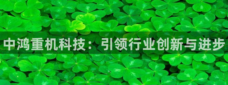 威九国际app入口在哪：中鸿重机科技：引领行业创新与进步