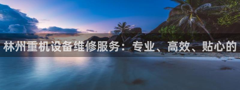 保定威九网络科技有限公司怎么样：林州重机设备维修服务：专业、