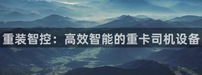 威九国际v96242cc官网版：重装智控：高效智能的重卡司机