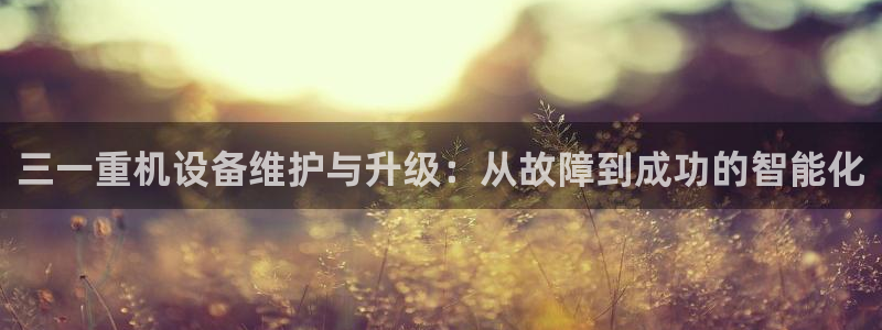 威九国际取款机怎么取：三一重机设备维护与升级：从故障到成功的