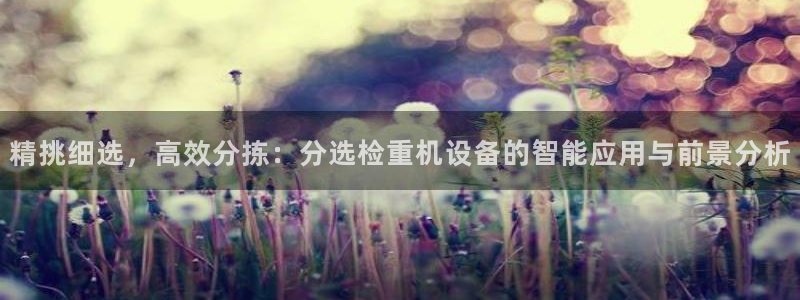 威九国际PPT：精挑细选，高效分拣：分选检重机设备的智能应用