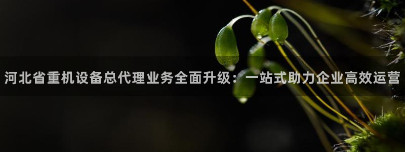 威九国际最近的视频：河北省重机设备总代理业务全面升级：一站式