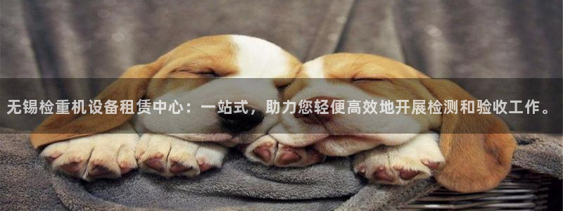 威九国际软件公司简介：无锡检重机设备租赁中心：一站式，助力您