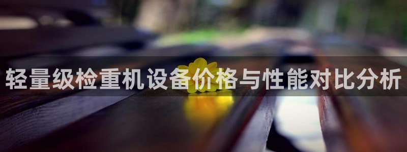 威九国际人民网招聘：轻量级检重机设备价格与性能对比分析
