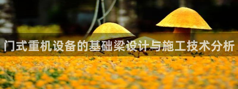 威九国际软件公司简介：门式重机设备的基础梁设计与施工技术分析
