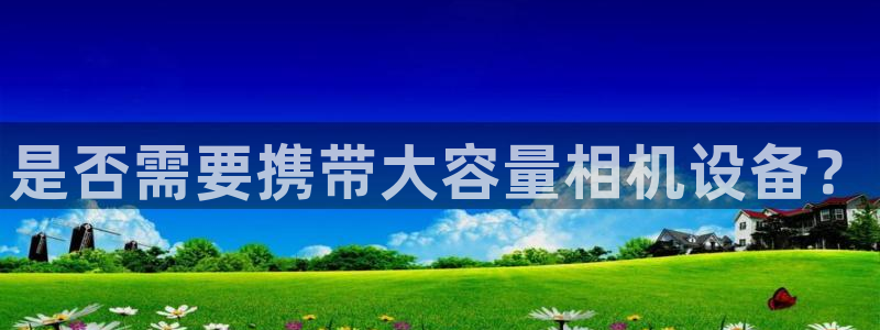 威九国际空降服务怎么样