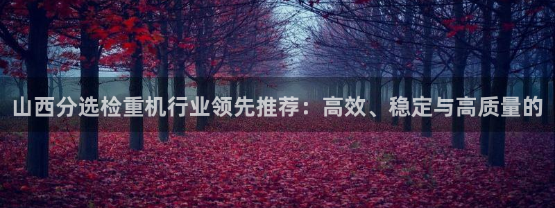 威九国际演员表：山西分选检重机行业领先推荐：高效、稳定与高质