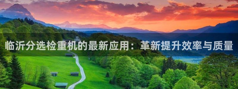 威九国际女