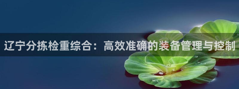 威九国际网页看视频弹窗的广告拦截插件