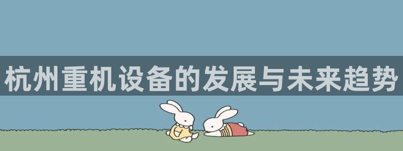 保定威九网络科技有限公司是干嘛的：杭州重机设备的发展与未来趋