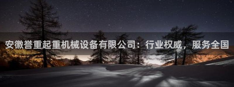 威九国际惠子：安徽誉重起重机械设备有限公司：行业权威，服务全