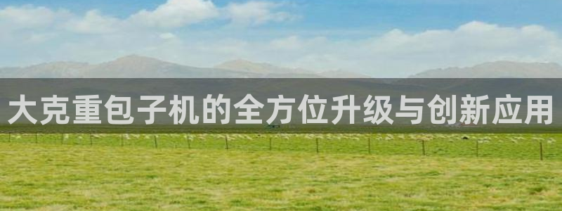 威九国际空降服务女演员叫什么名字：大克重包子机的全方位升级与