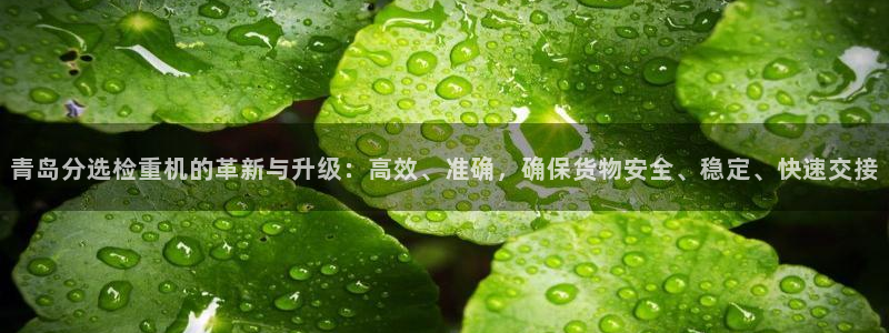 威九国际真人游戏