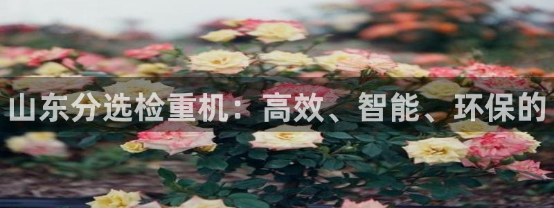 威九国际66m官网版