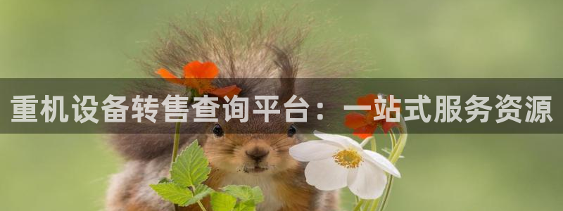 威九国际ppt免费