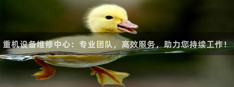威九国际动漫