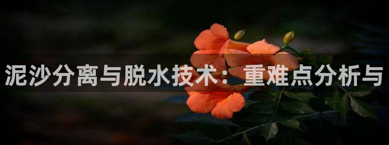 威九国际清砖码头怎么样