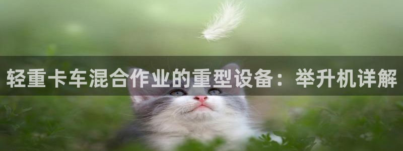 威九国际MM：轻重卡车混合作业的重型设备：举升机详解