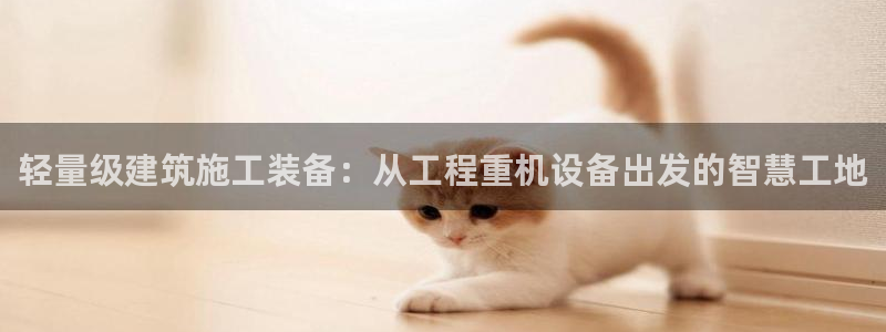 66m威九国际成长模式：轻量级建筑施工装备：从工程重机设备出