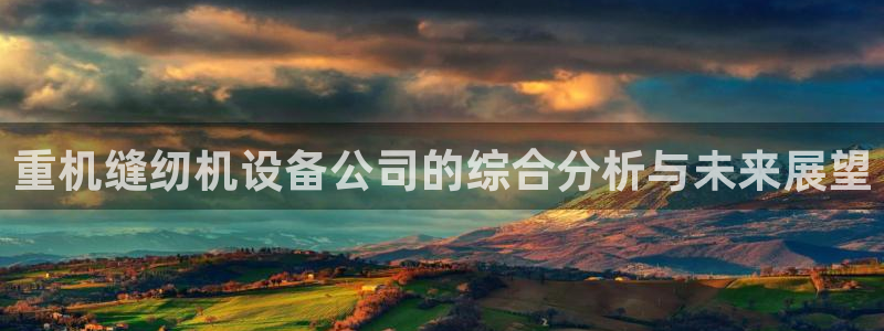 威九国际精彩推荐怎么样：重机缝纫机设备公司的综合分析与未来展