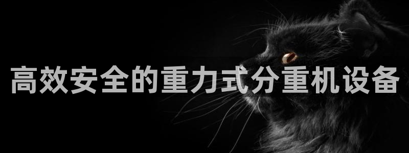 威九国际网站入口官网首页：高效安全的重力式分重机设备