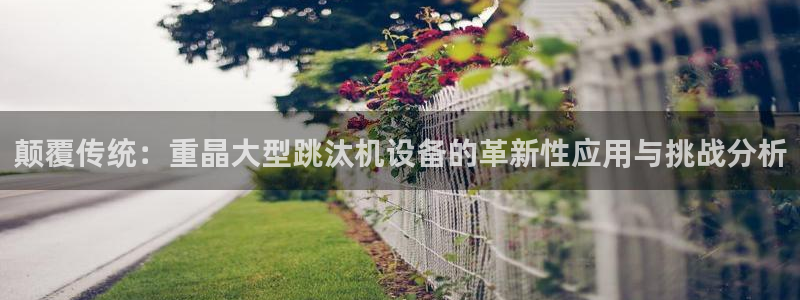 威九国际全国空降：颠覆传统：重晶大型跳汰机设备的革新性应用与