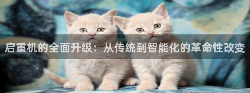 威九国际78cm：启重机的全面升级：从传统到智能化的革命性改