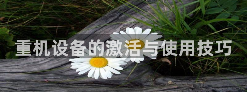 威九国际高清
