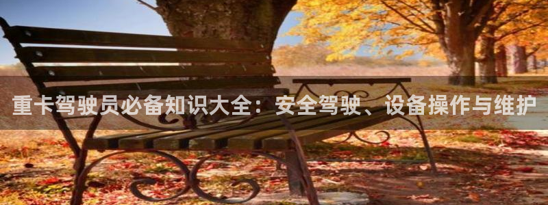 威九国际网站怎么样可靠吗