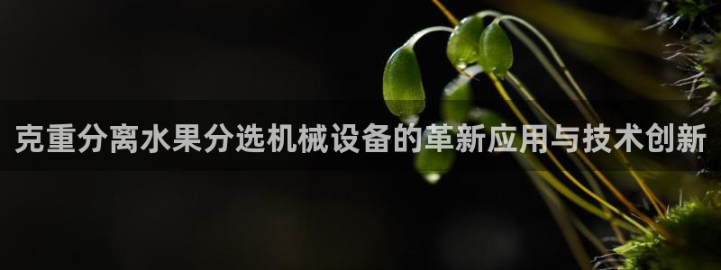 威九国际电影2022年9月月