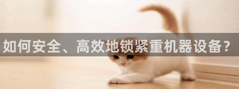 威九国际清砖码