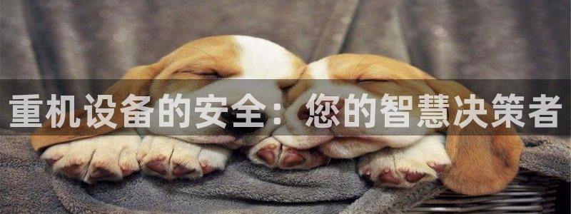 威九国际的金融服务有哪些