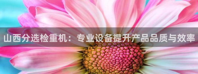 威九国际最受欢迎的功能